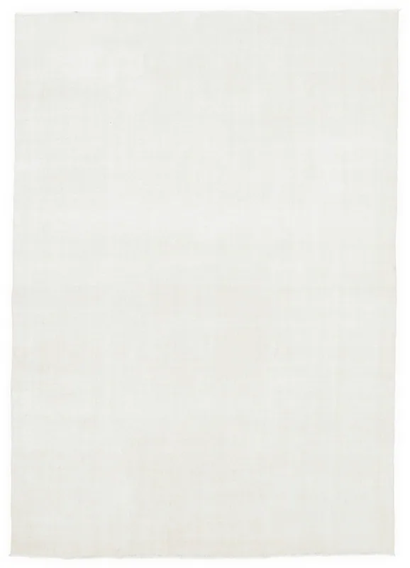 Full overhead view of the 6x10 cream minimalist vintage area rug on a white background.