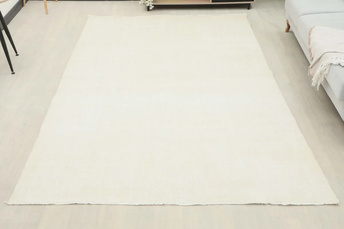 Full overhead view of the cream vintage area rug laid out in a minimalist room setting.