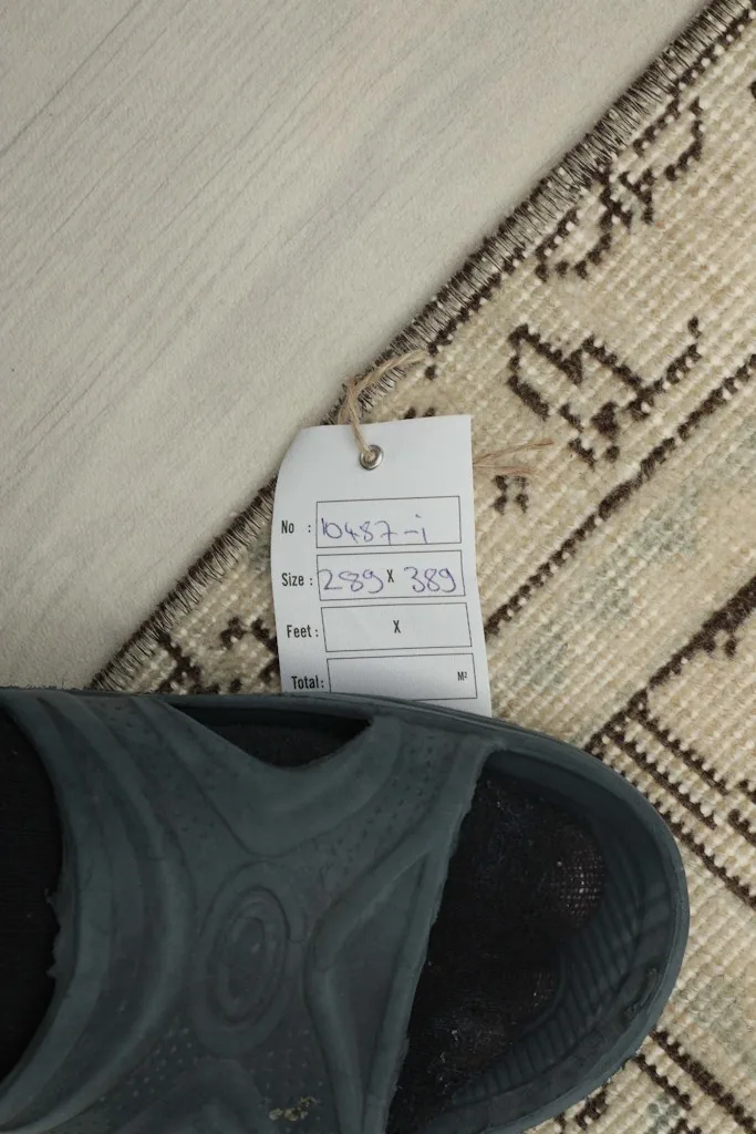Size tag with dimensions 289x389 cm next to a shoe for scale on the rug.