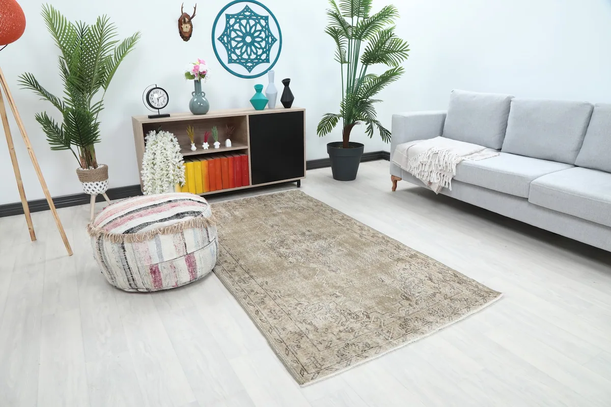 Angle view of the beige Anatolian rug in a room with a sofa and plants