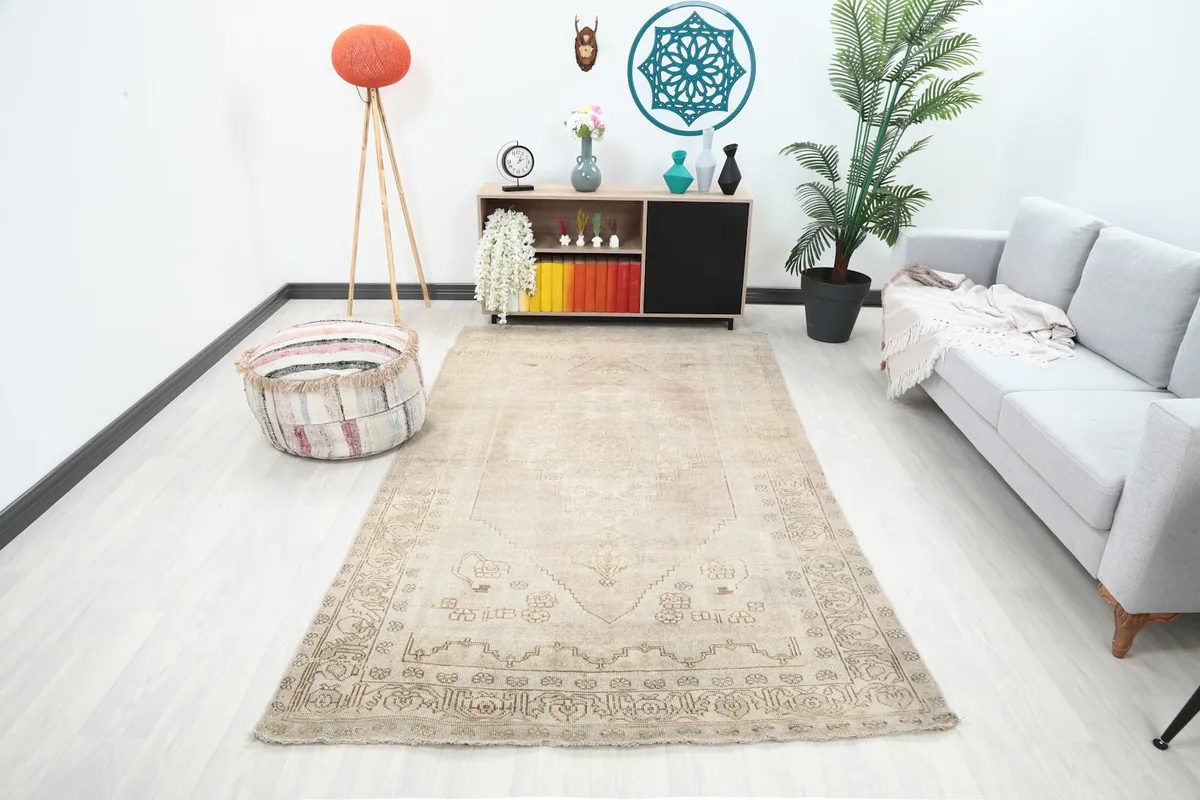 Vintage beige and rose area rug displayed in a bright living room setup with modern furniture.
