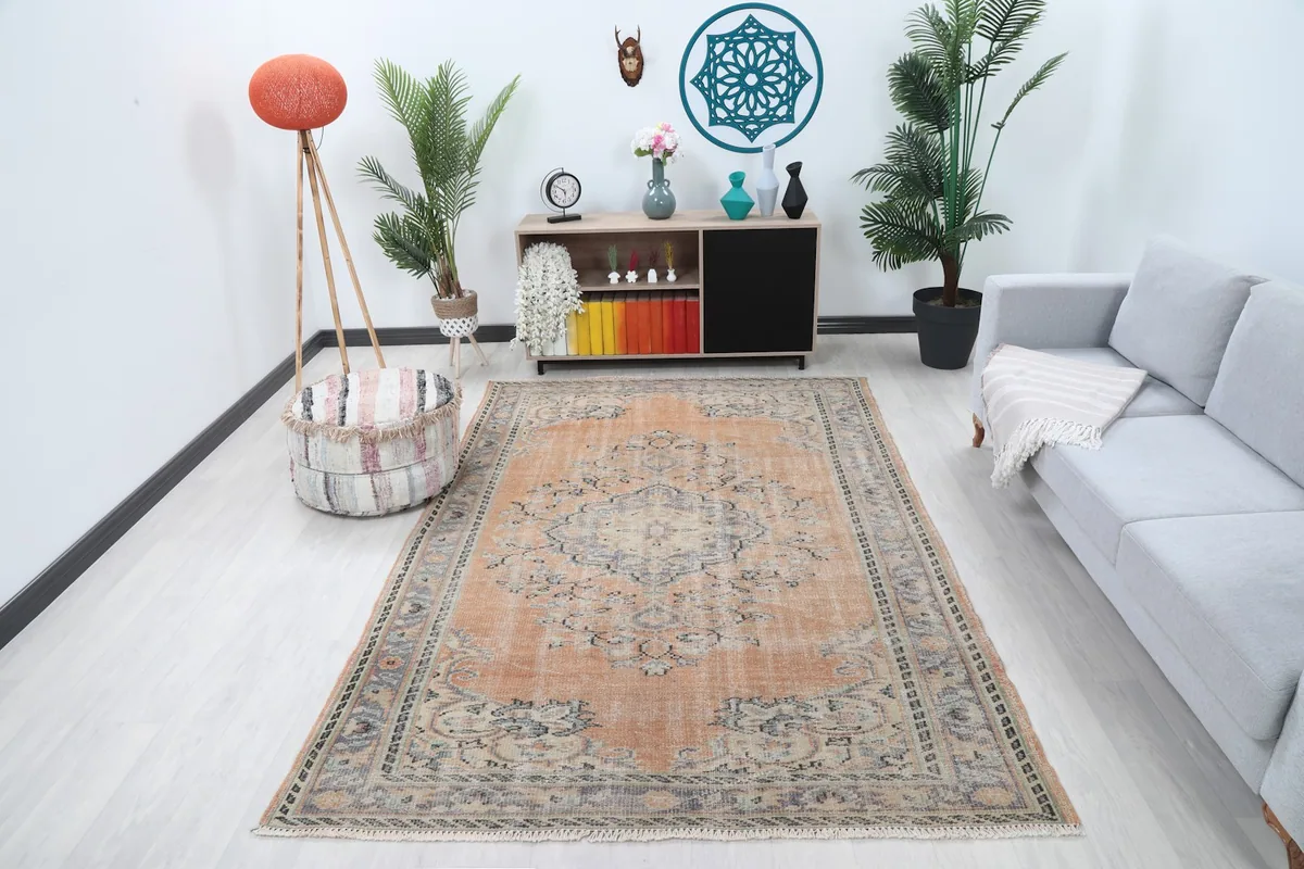 Vintage orange area rug in a modern living room setting with plants and furniture