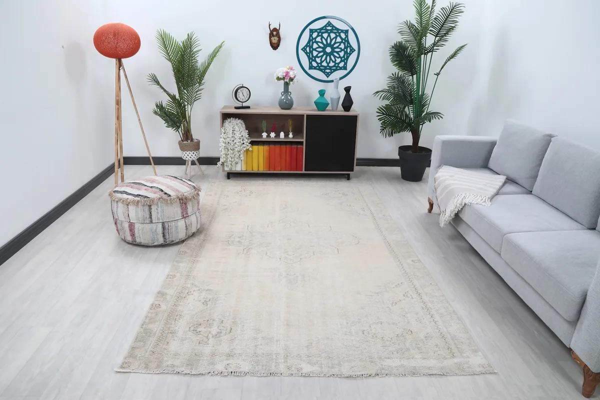 Vintage cream rug displayed in a bright living room setting with a light gray sofa and modern decor.