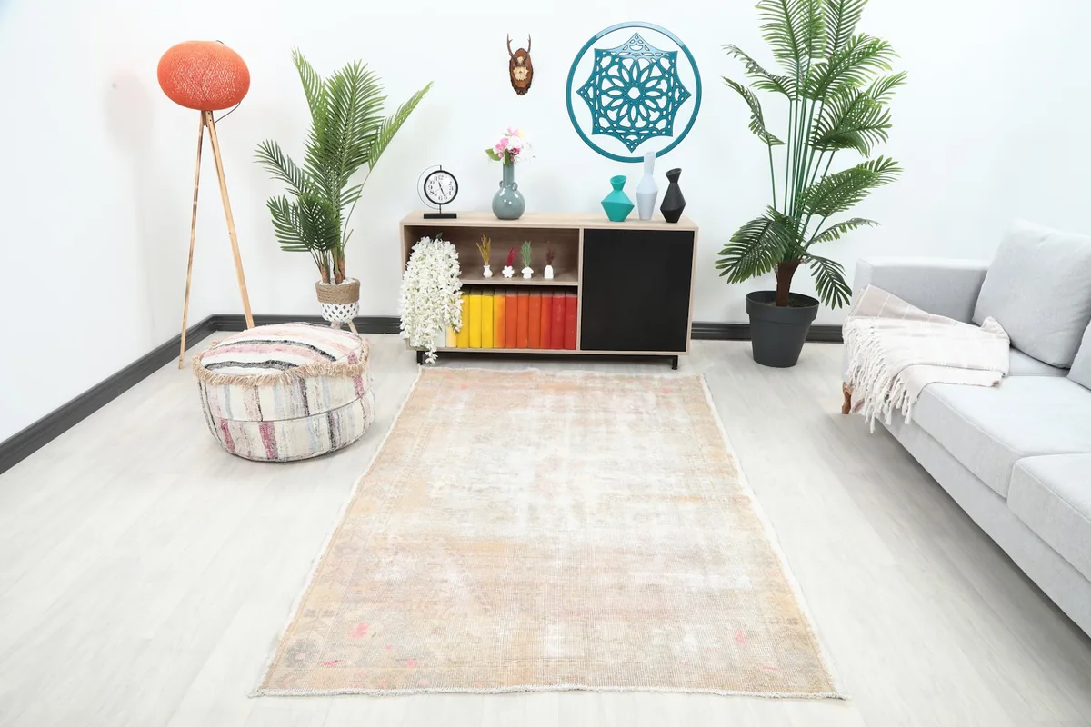 Vintage Anatolian rug in a modern living room setting with a sofa and plants