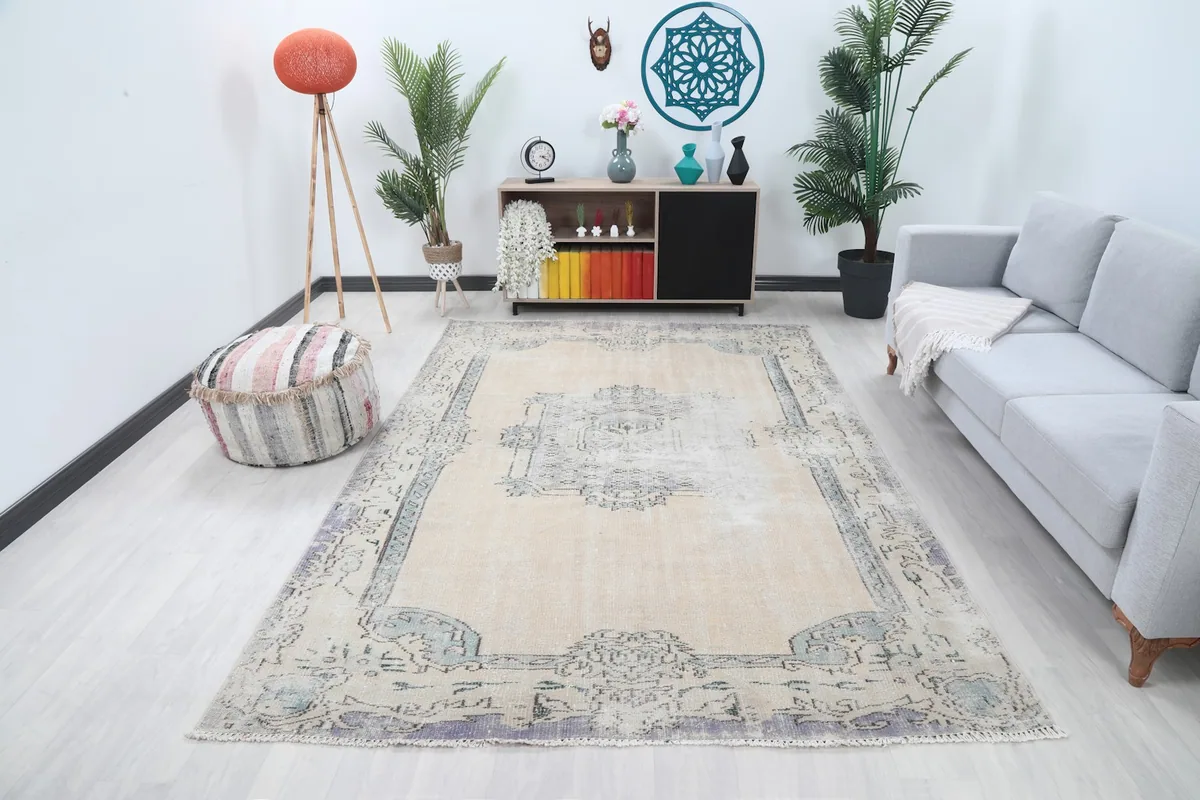 Vintage beige rug in a modern living room setting with a gray sofa and plants