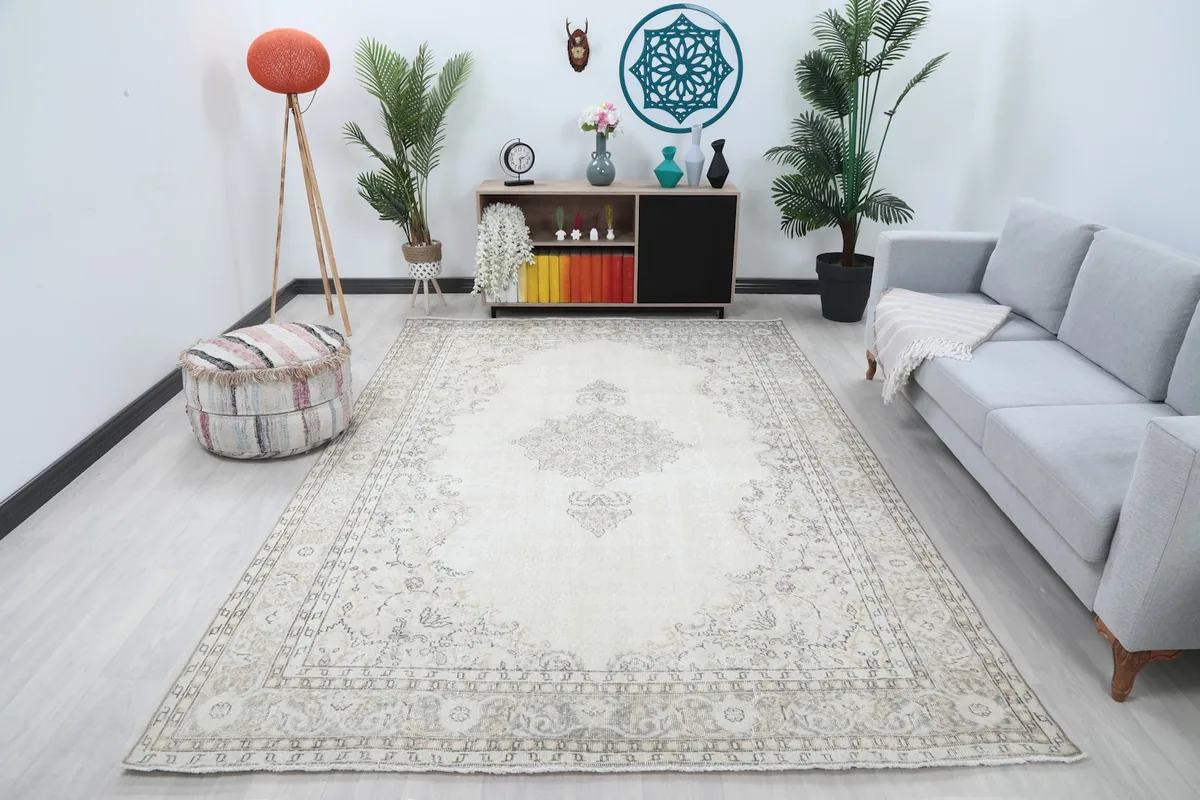 Ivory gray medallion rug showcased in a modern living room setting
