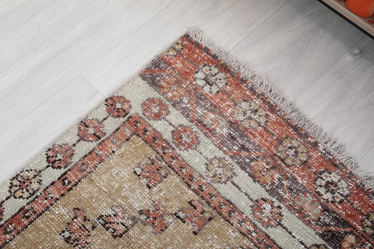 Close-up of the rug's border design, featuring small circular motifs in beige and rust.