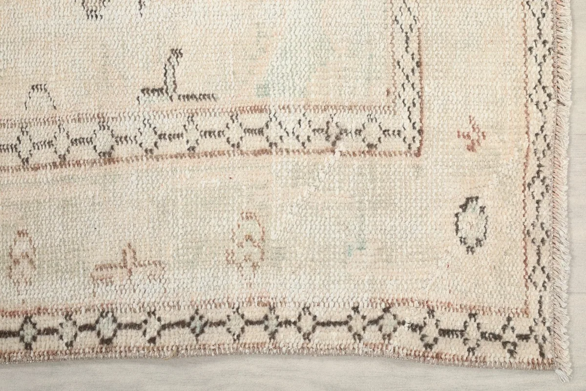 Detailed view of the rug's geometric border pattern in brown and the subtle field design