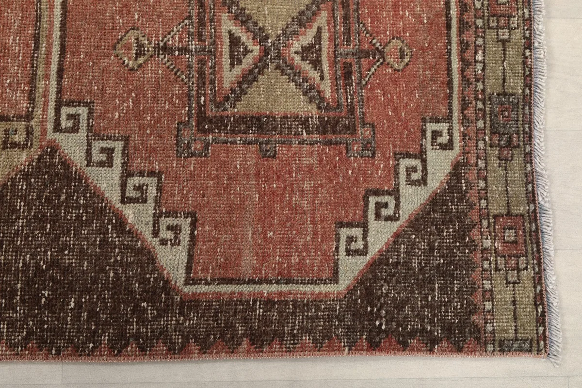 Detailed view of the rust field and brown geometric border pattern on the rug