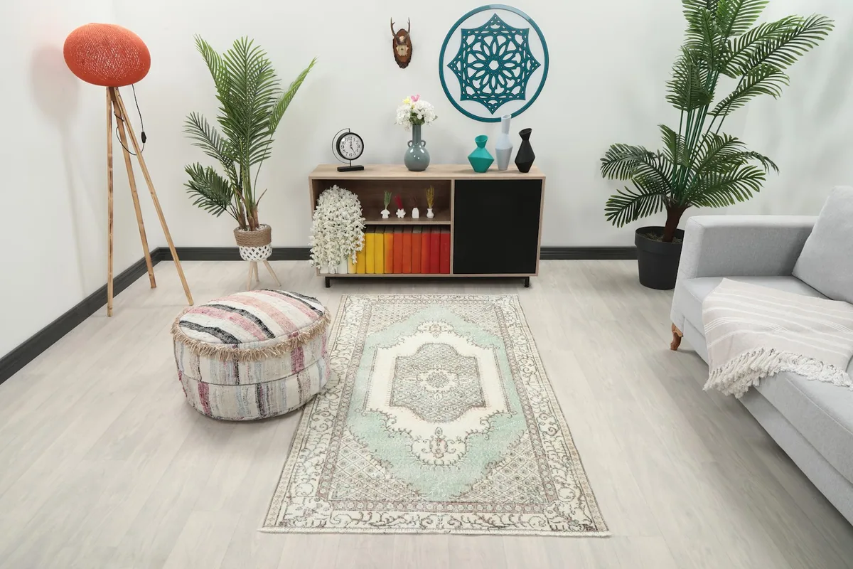 Vintage Anatolian rug displayed in a living room setting with a light couch and plants