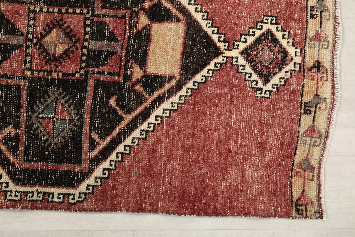 Detailed view of the rust field and black geometric pattern with border