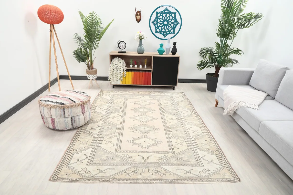 Vintage beige and gray rug in a modern living room setting