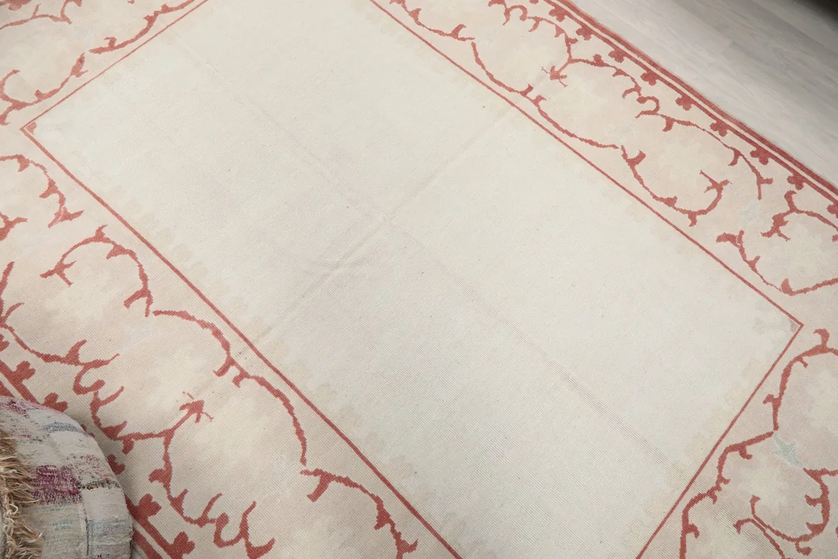 Overhead perspective of the rug, highlighting its ivory center and patterned rose border.