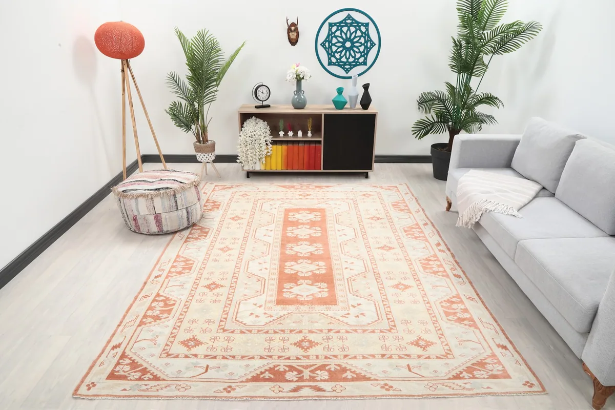 Rust and ivory area rug in a modern living room setting with a gray sofa