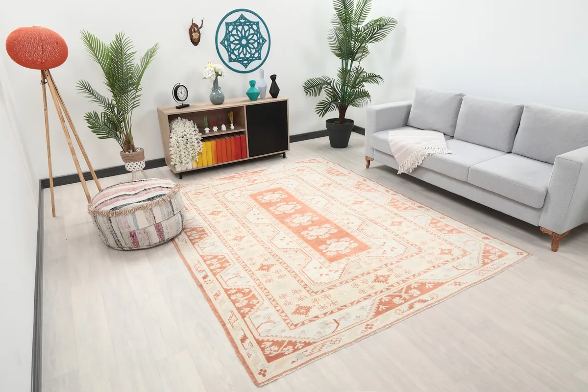 Angle view of the rust and ivory geometric rug in a living room with plants and decor