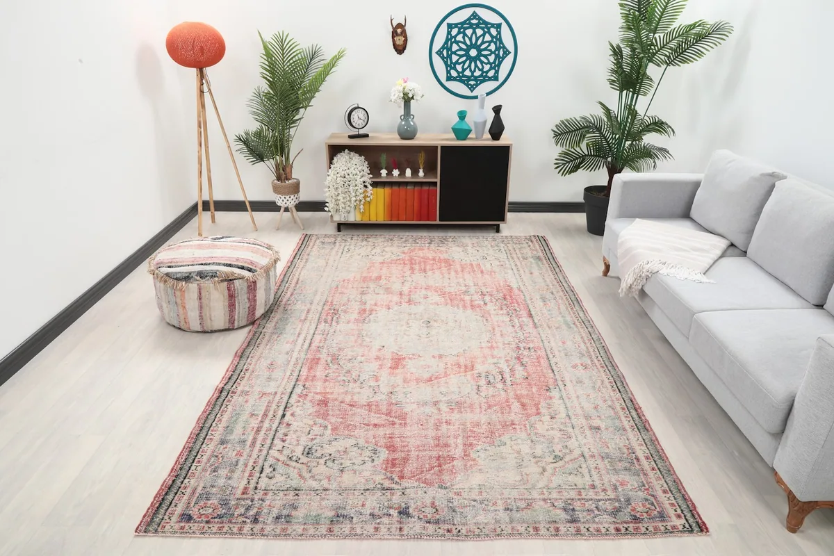 Vintage rose and gray medallion rug placed in a modern living room setting with plants and a sofa