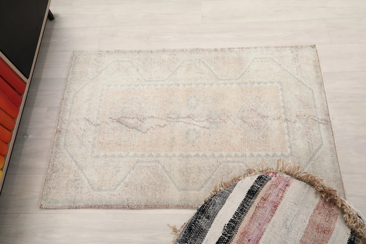 Full overhead view of the beige and blue rug, showing its rectangular shape and overall pattern distribution