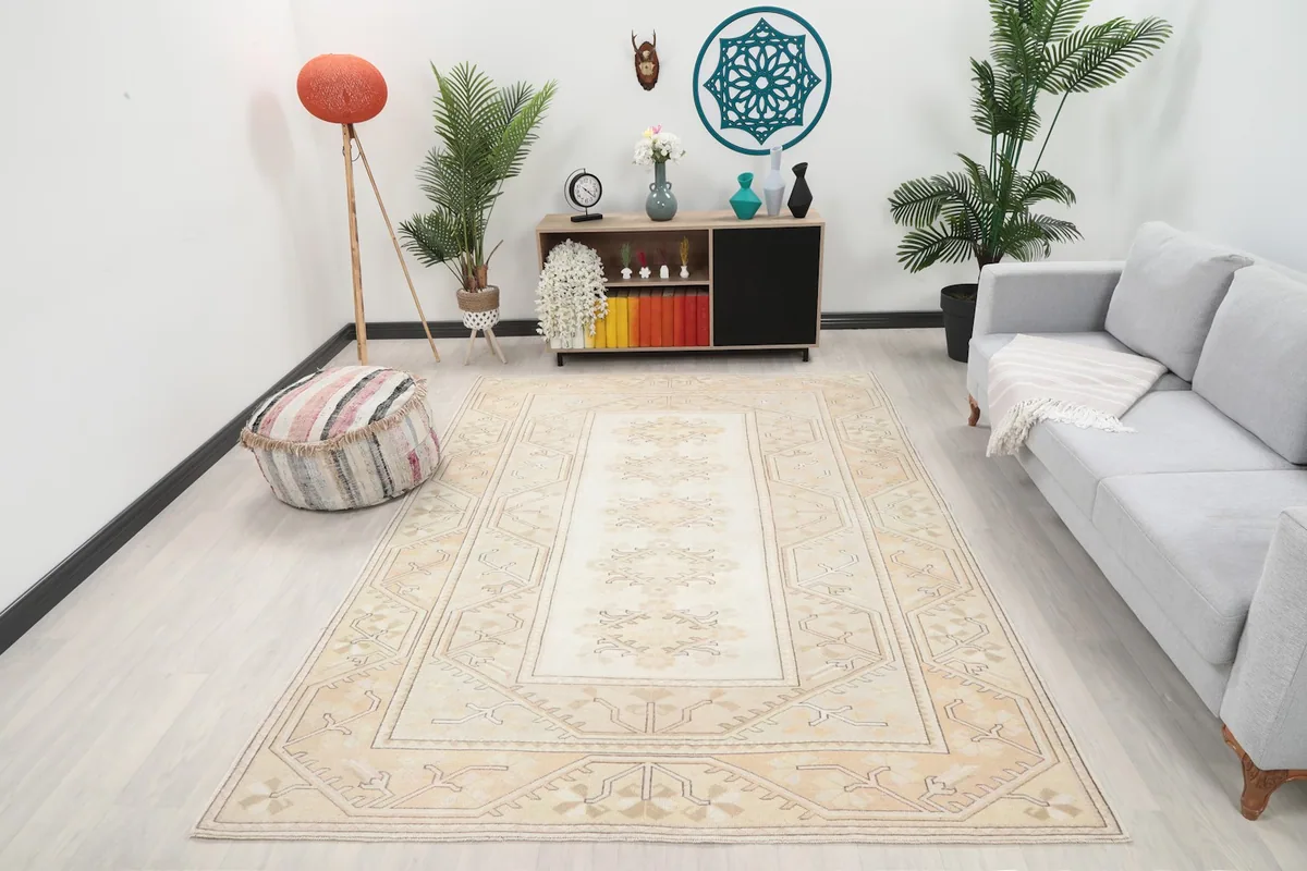 Vintage cream and beige rug laid out in a modern living room setting