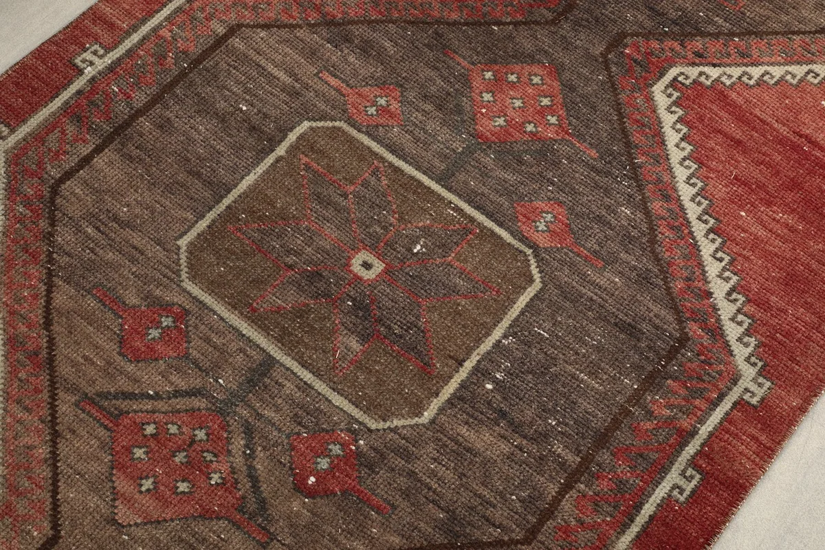 Detailed view of the central geometric pattern within one of the brown medallions