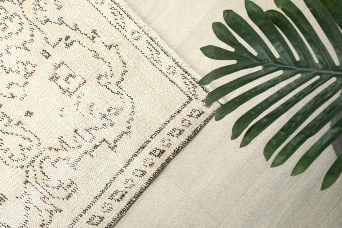 Detail of the rug's border design and corner, with a green plant in the foreground