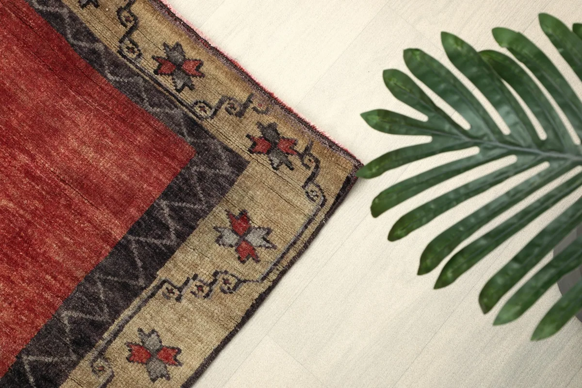 Overhead corner view of the rug with a green plant, showcasing the border design