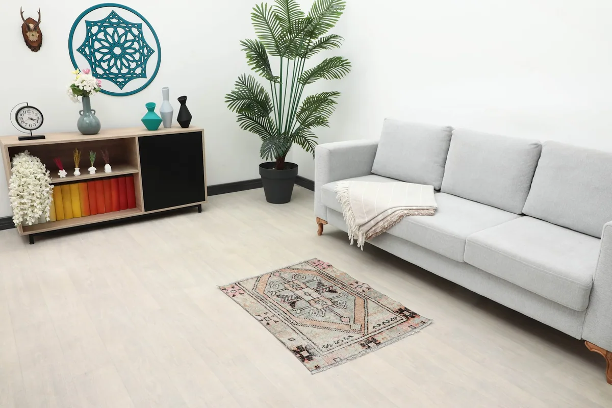 Small gray and rose vintage rug placed in a living room setting with a light gray sofa.