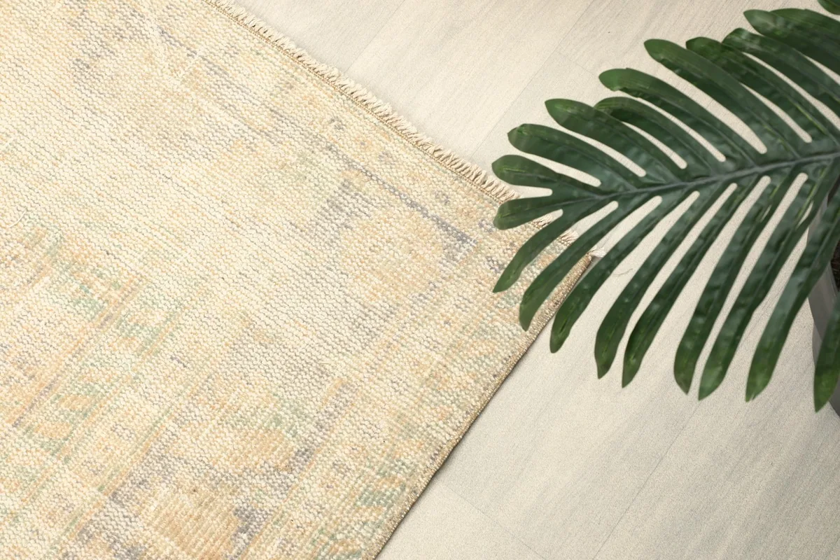 Corner of the rug next to a plant, showing the soft transition of colors and slight wear