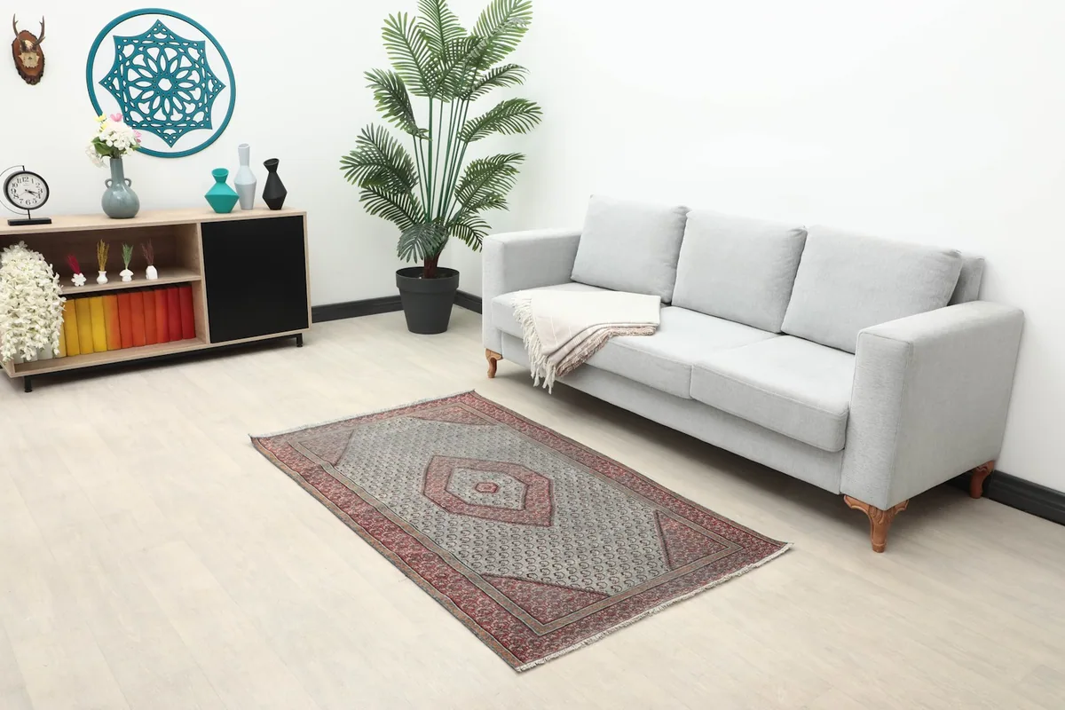 Wide shot of the rug in a modern room setting with a sofa and plants