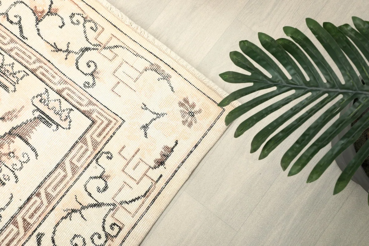 Overhead angle shot of the rug's corner, showcasing the border design and a plant.