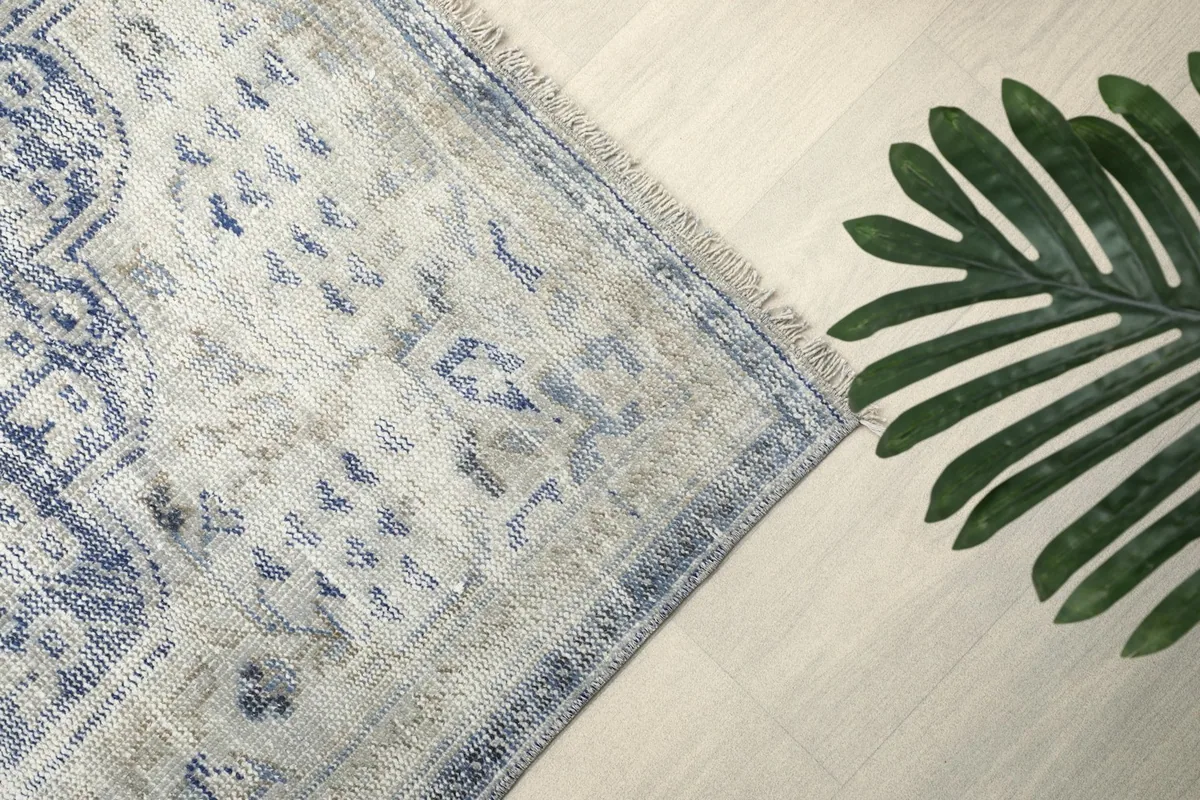 Detail of the rug's border design in blue and beige, next to a green plant.