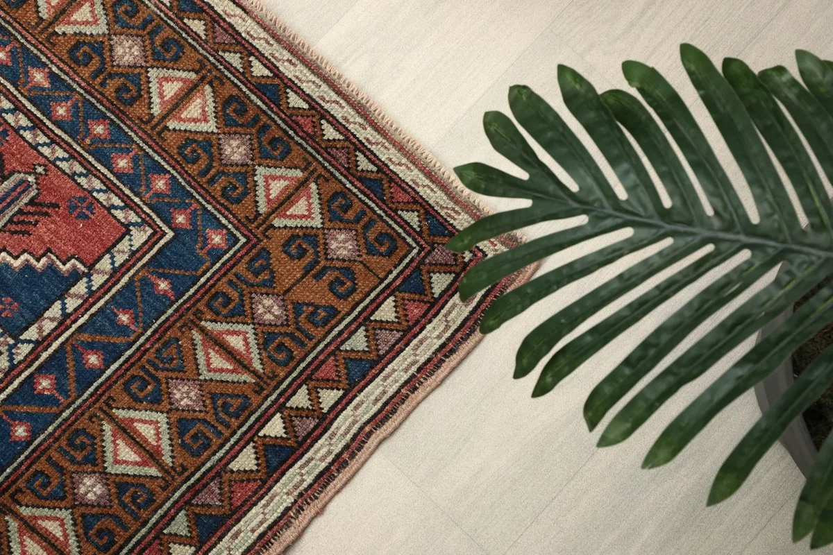 Overhead angle view of the rug's border with a plant in the foreground