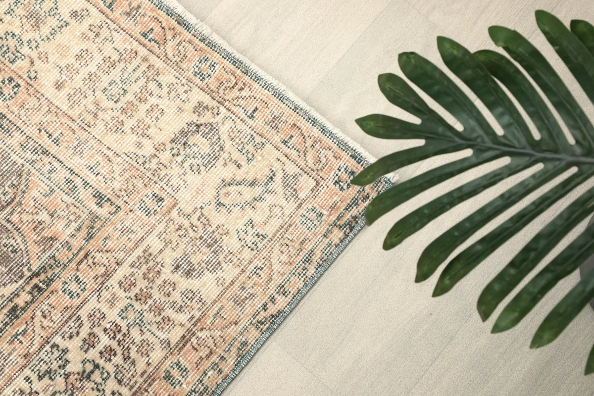 Overhead view of a rug corner with a plant, showing the border detail and overall aesthetic