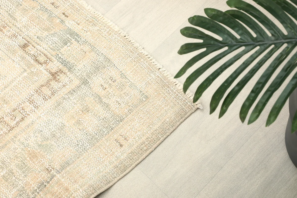 Detailed shot of the rug's border, displaying the faded tan and blue patterns along the edge.
