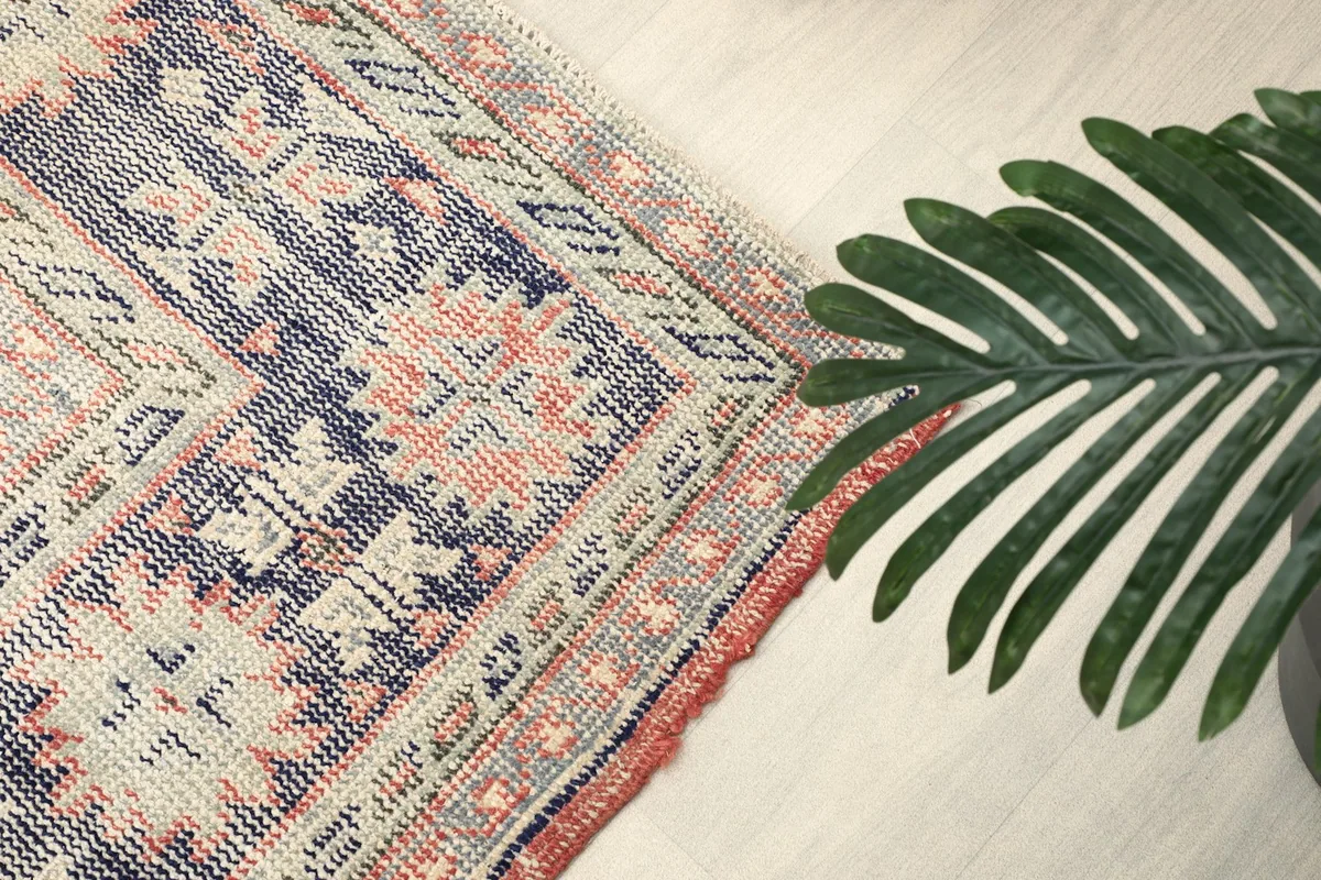 Angled view of the rug's border and a plant, focusing on the blend of colors and patterns