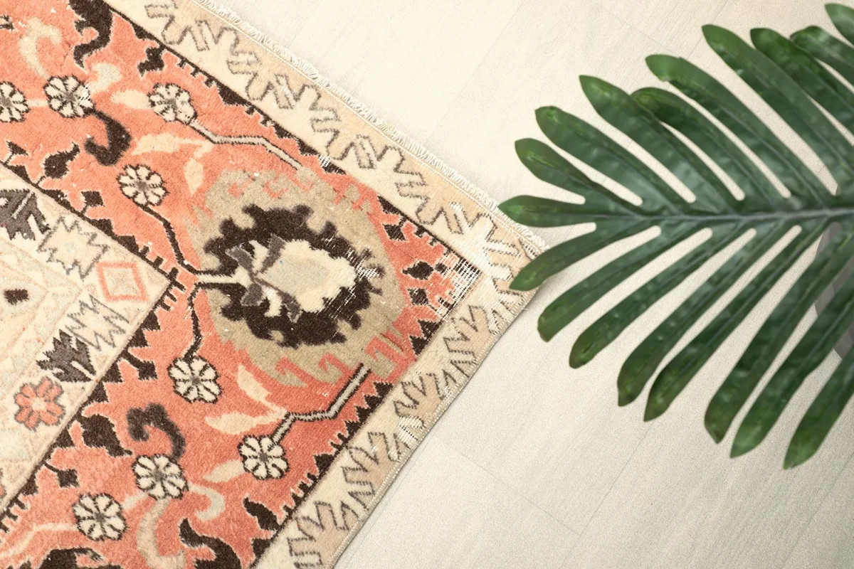 Corner of the rose and ivory rug with a green plant for scale and texture comparison
