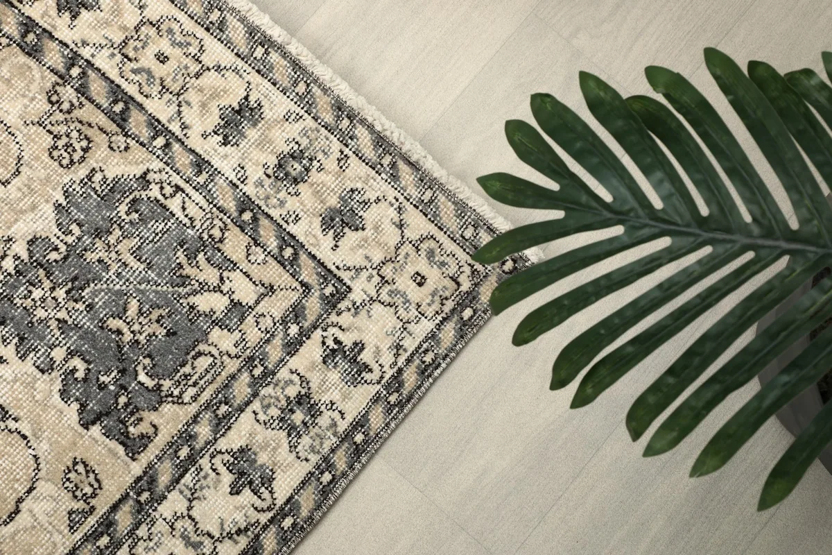 Overhead angle showing a corner of the rug with a plant