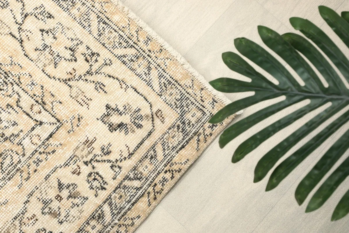 Corner of the rug with beige border and charcoal accents next to a plant