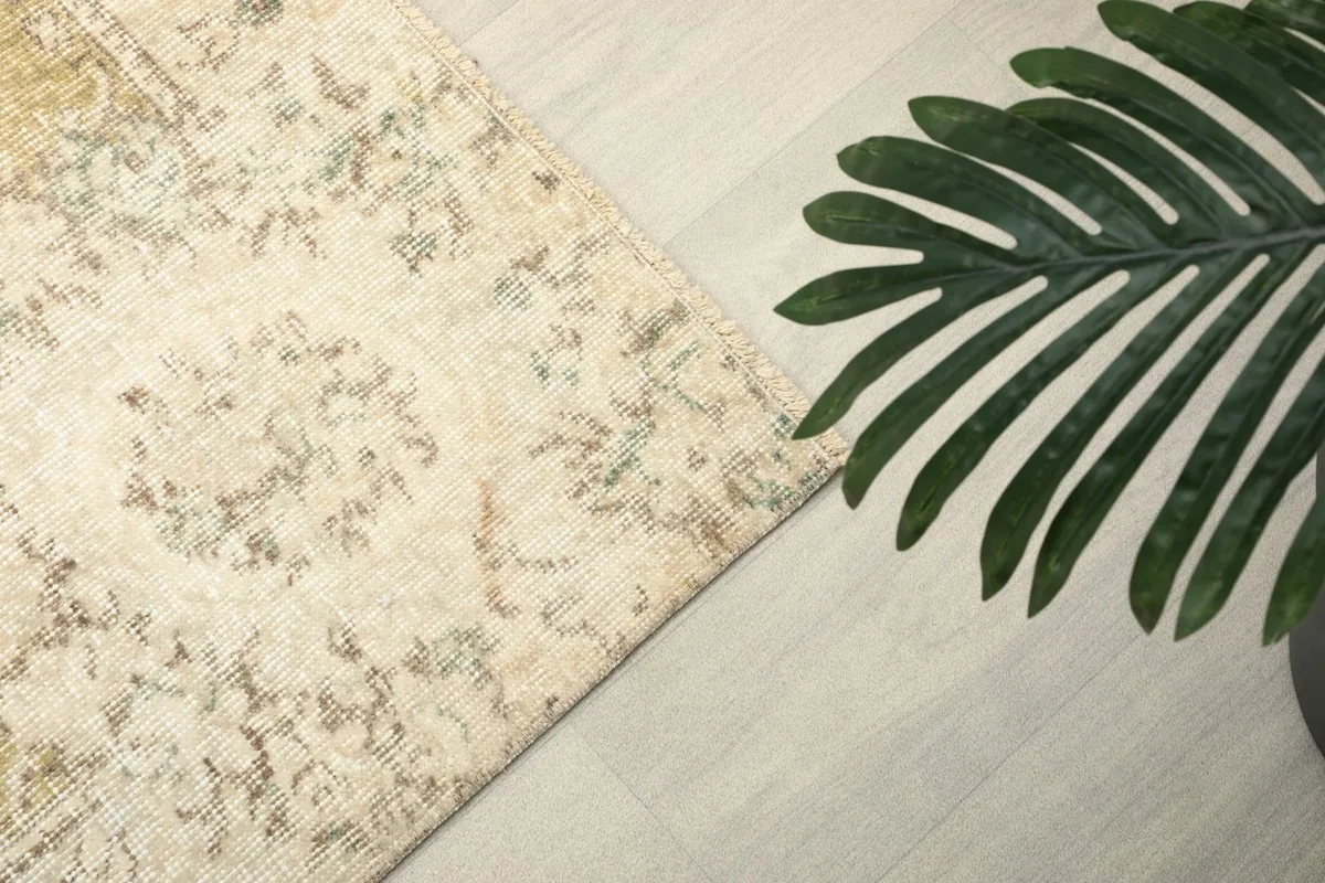 Overhead corner view of the rug's pattern alongside a decorative green plant.