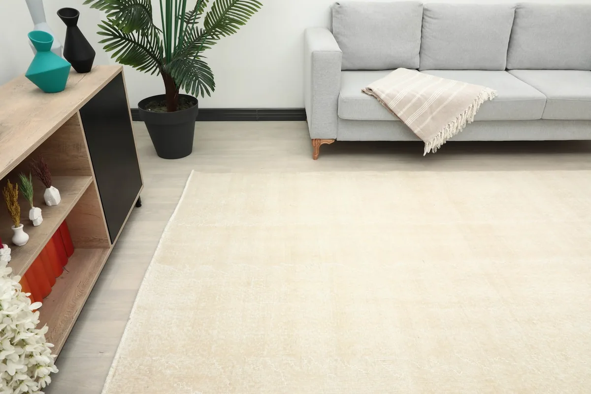 View of the rug in a living space, featuring a sofa and decorative elements
