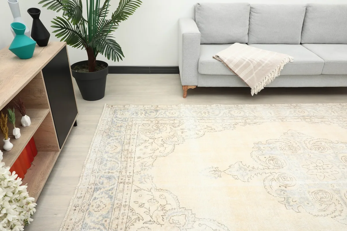 Angle view of the rug on a light floor, showing the interaction with a sofa and plant.