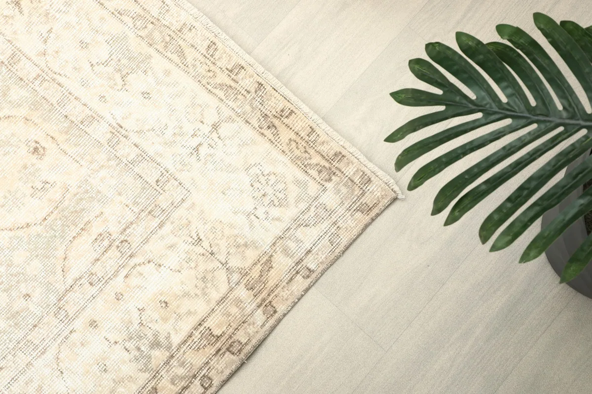 View of the rug's border pattern and corner next to a green plant in a room setting