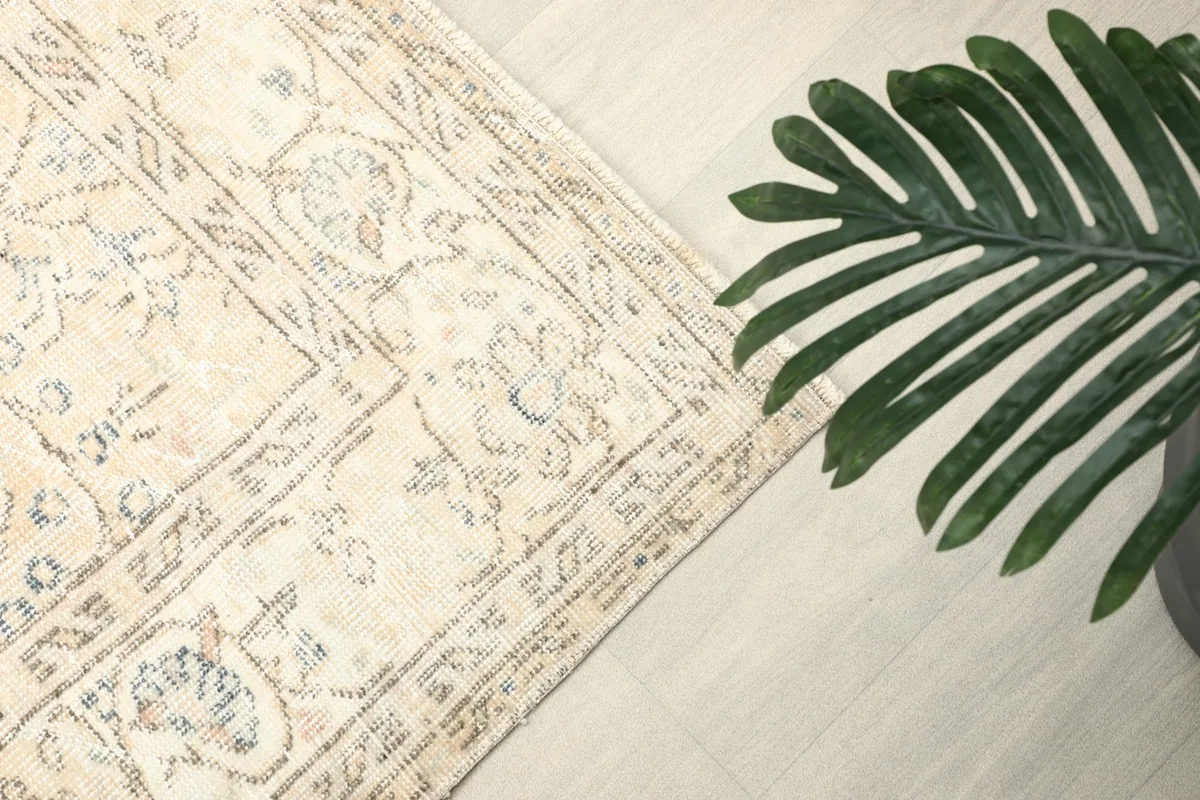 Overhead angle shot of the rug's border and a large green plant, highlighting the natural light.