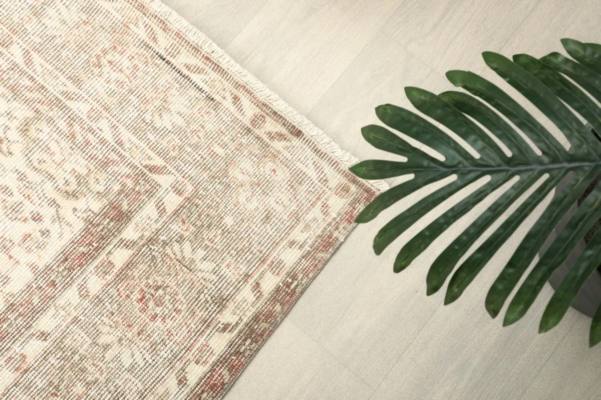 Overhead angle shot of the rug's corner with a green plant, highlighting the patterns