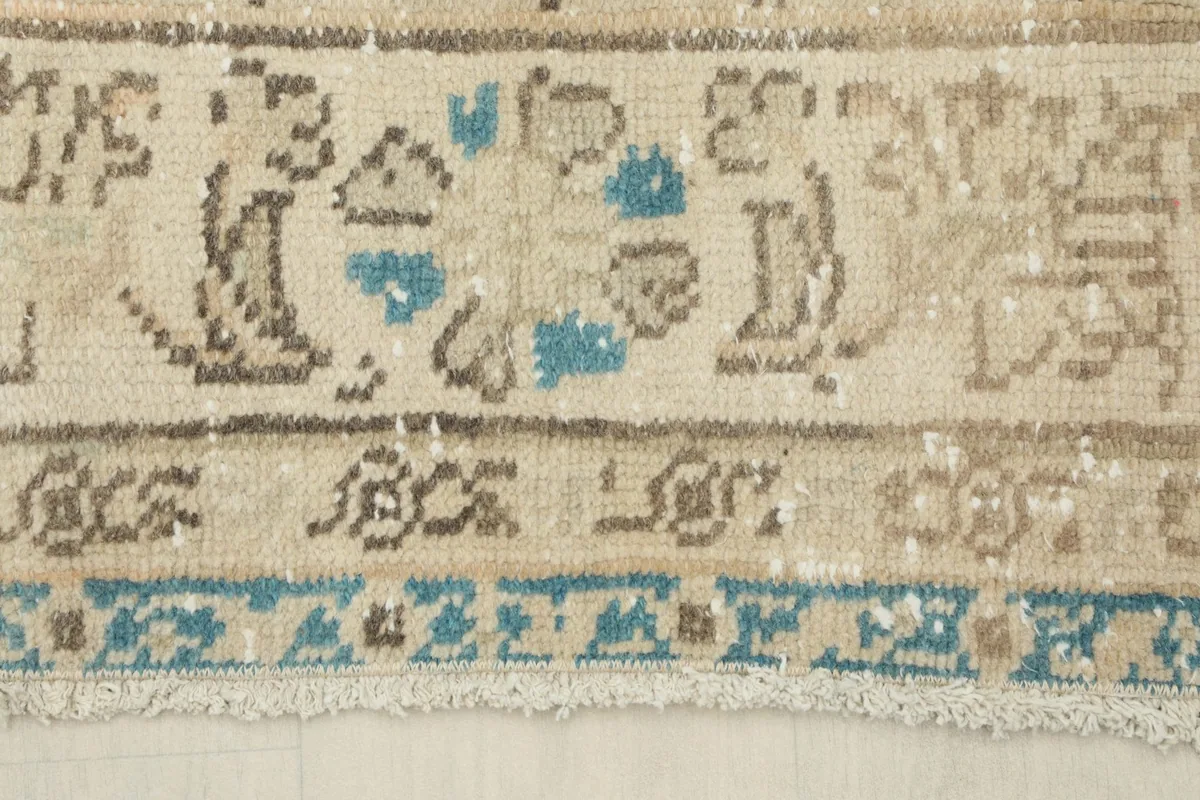 Detail of the border design, featuring geometric patterns in blue and brown