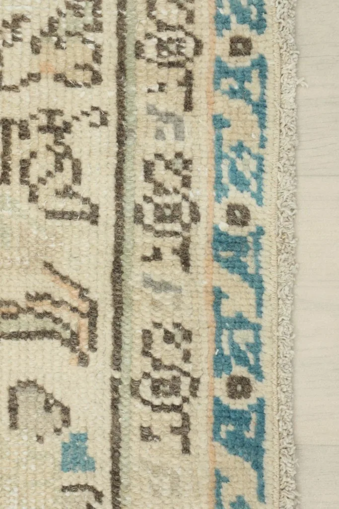 Close-up of the rug's border, showing intricate geometric patterns in blue and brown tones.