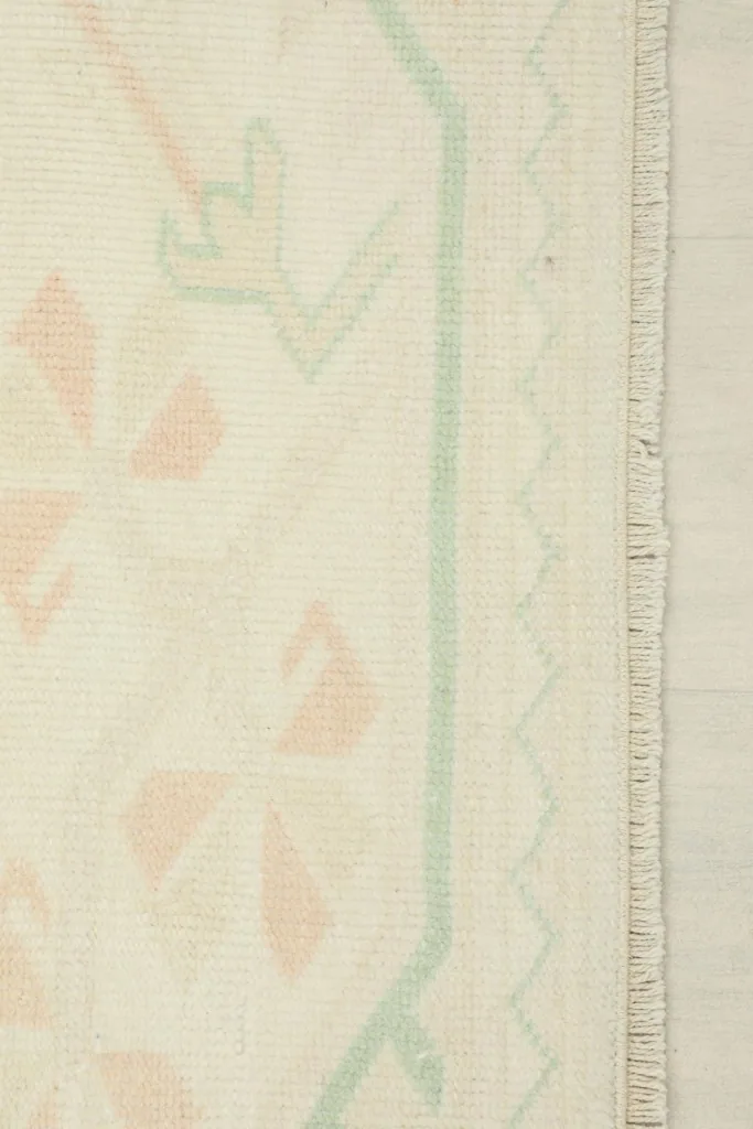 Close-up of the rug's edge, displaying the border design, subtle fringe, and overall weave.