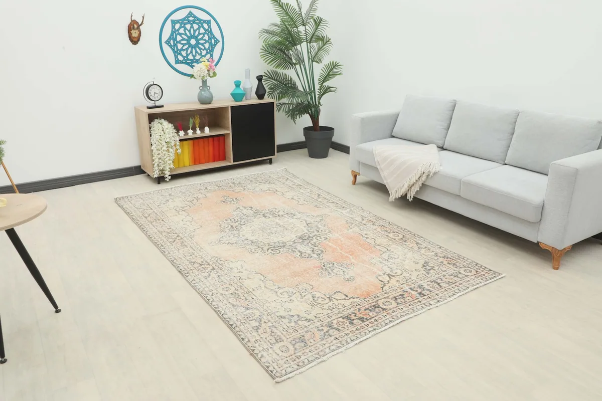Area rug laid out in a modern living room setting with a gray sofa and minimalist decor.