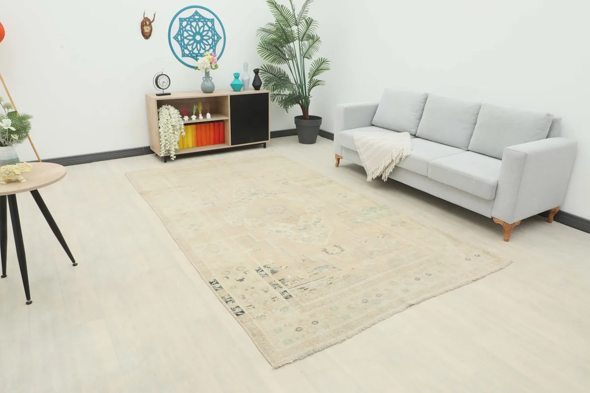 Ivory and beige area rug placed in a modern living room setting with a light gray sofa