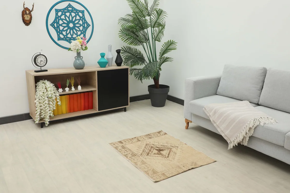 Beige and brown small rug placed in a modern living room setting