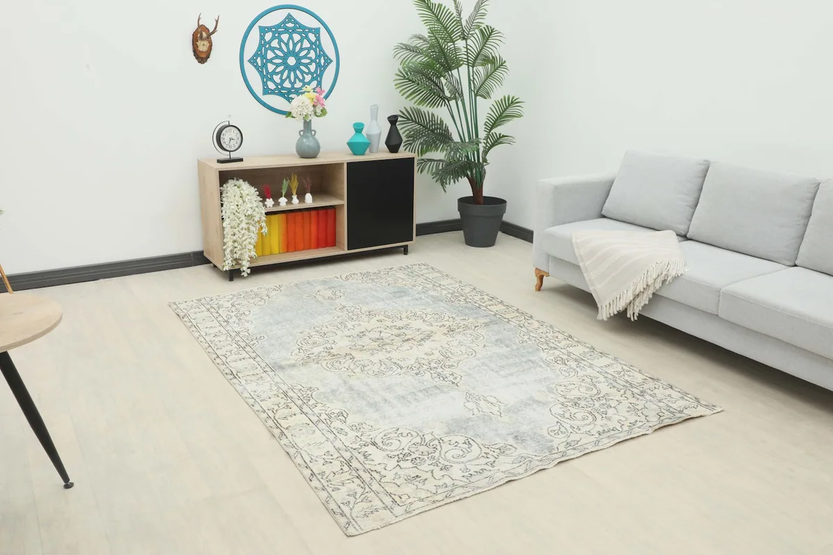 Vintage rug in a contemporary living room setting with a light sofa and plant